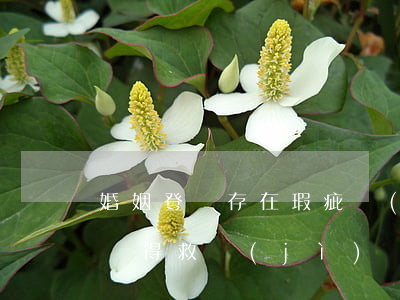 婚姻登記存在瑕疵，當(dāng)事人如何獲得救濟(jì)？